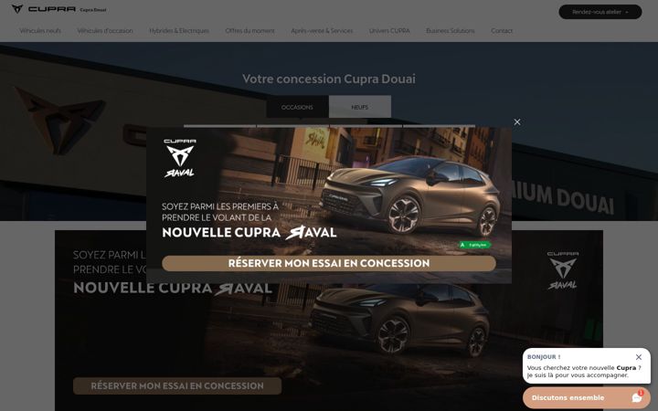 Ekrano kopija cupra-douai.fr