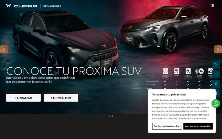 Capture d'écran de cupra-promotores.co