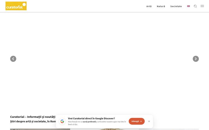 Screenshot of curatorial.ro