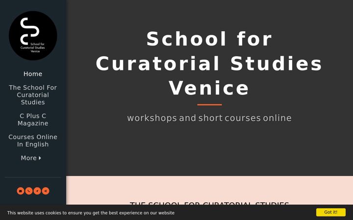 Screenshot of curatorialstudiesveniceonline.com