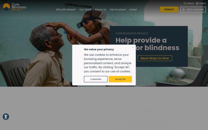 Screenshot of cureblindness.org