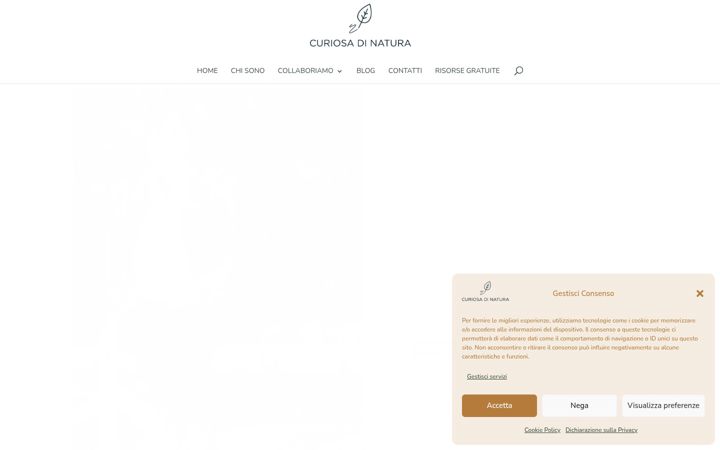 Screenshot of curiosadinatura.com