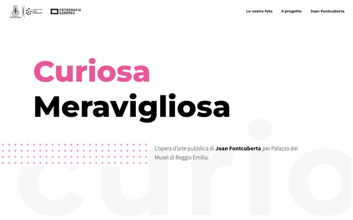 Screenshot of curiosameravigliosa.it