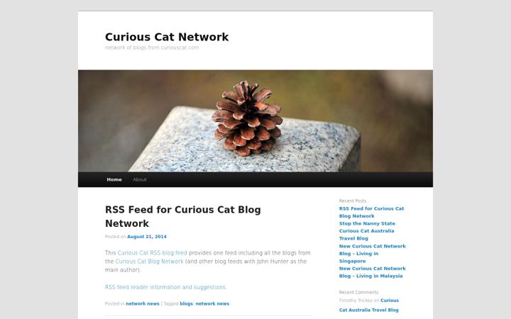 Screenshot of curiouscatnetwork.com
