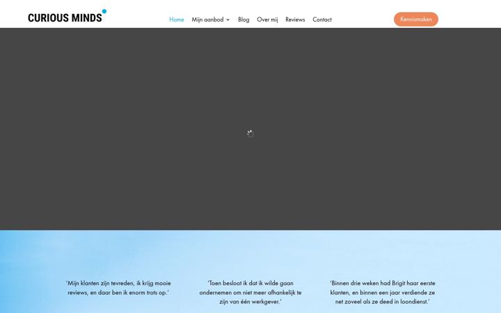 Skærmbillede af curiousmindsmarketing.nl