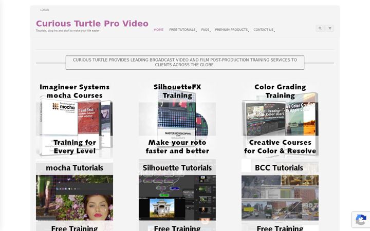 Screenshot of curiousturtle.com