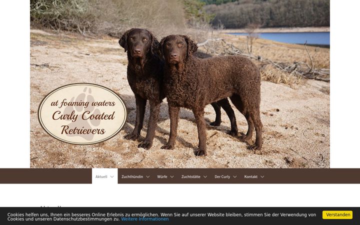 Screenshot of curlycoated.ch