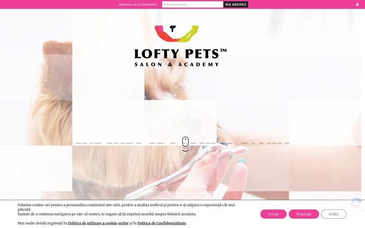 Zrzut ekranu curscoaforcanin.ro