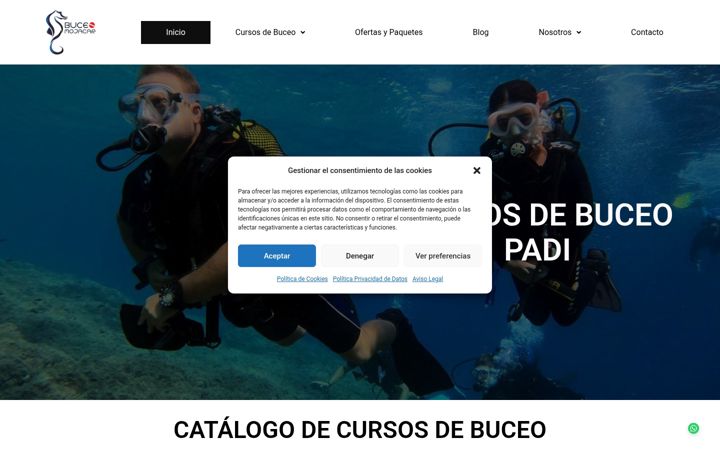 Screenshot of cursobuceoenmadrid.com