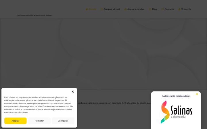 Skærmbillede af cursodepuntos.es