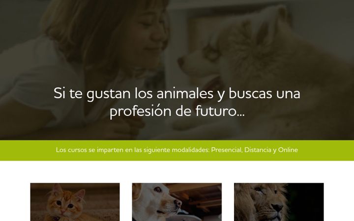 Screenshot of cursosanimales.com