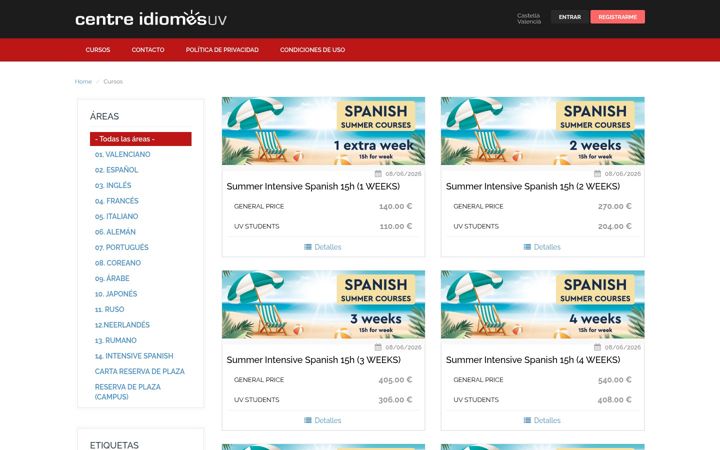 Screenshot of cursoscdi.uv.es