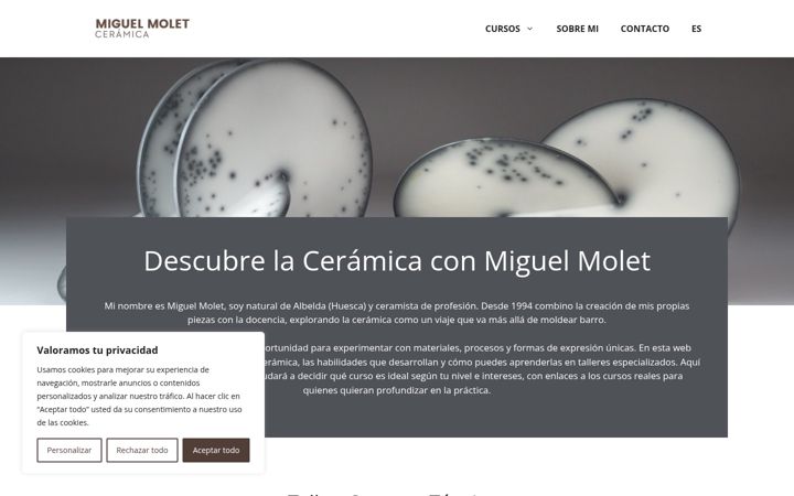 Screenshot of cursosmiguelmolet.com