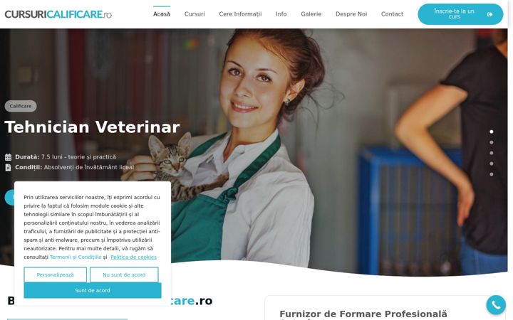 Screenshot of cursuricalificare.ro