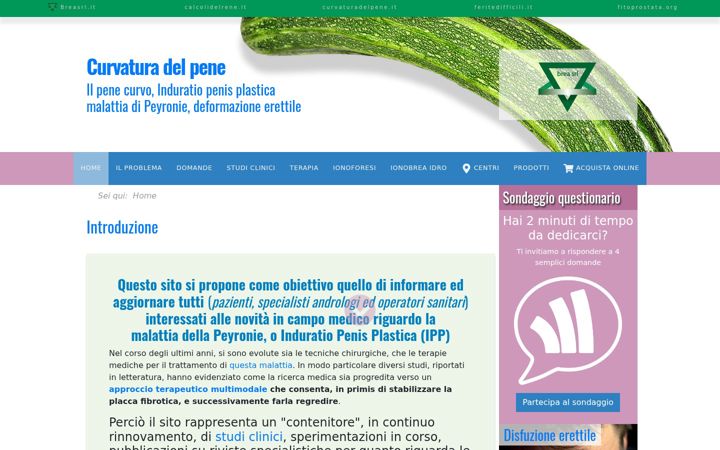Screenshot of curvaturadelpene.it