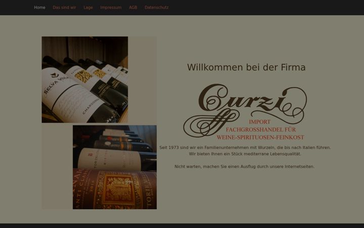 Screenshot of curzi-gmbh.de