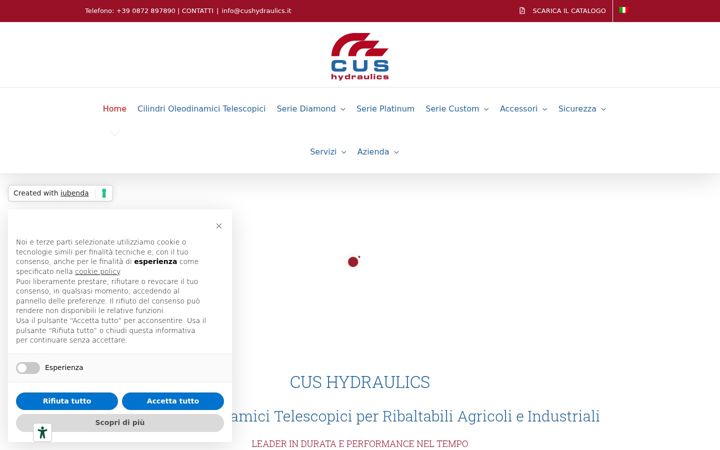 Screenshot of cushydraulics.it