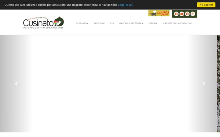 Screenshot ta' cusinatonline.it