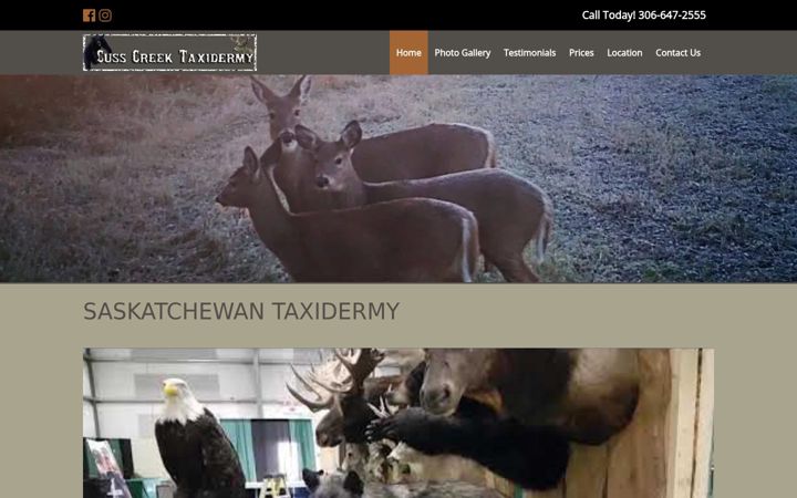 Screenshot of cusscreektaxidermy.com
