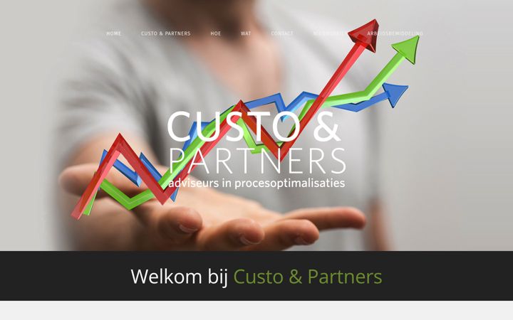 Screenshot of custo-advies.nl
