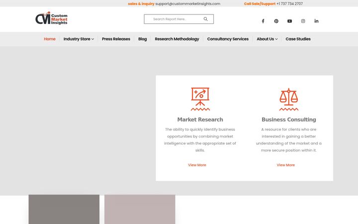 Screenshot of custommarketinsights.com