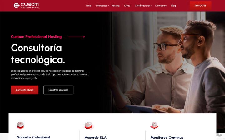 Ekrānuzņēmums no customprofessionalhosting.com