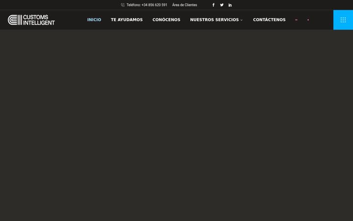 Screenshot of customs-intelligent.com