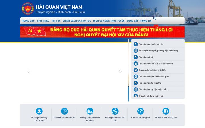 Screenshot of customs.gov.vn