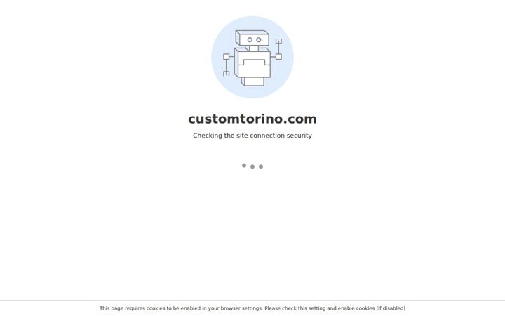 customtorino.com