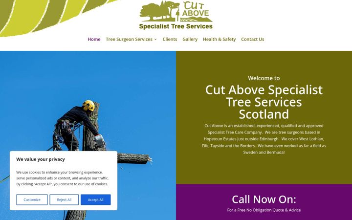 Screenshot of cutabovetreeservices.co.uk