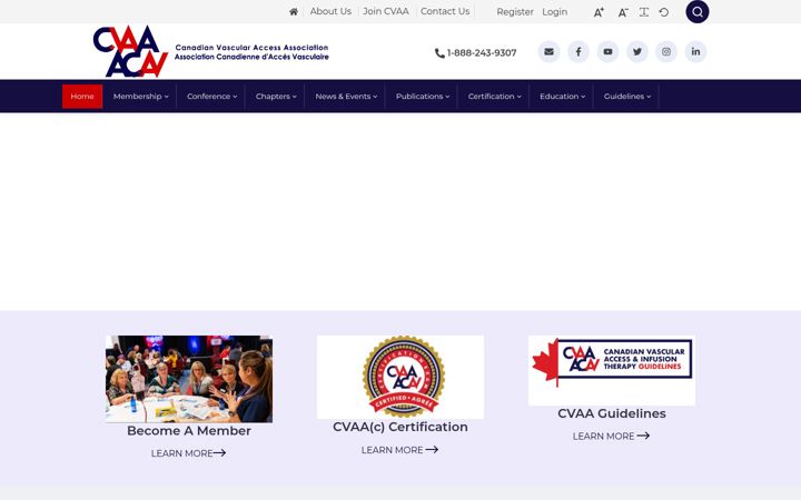 Screenshot of cvaa.info
