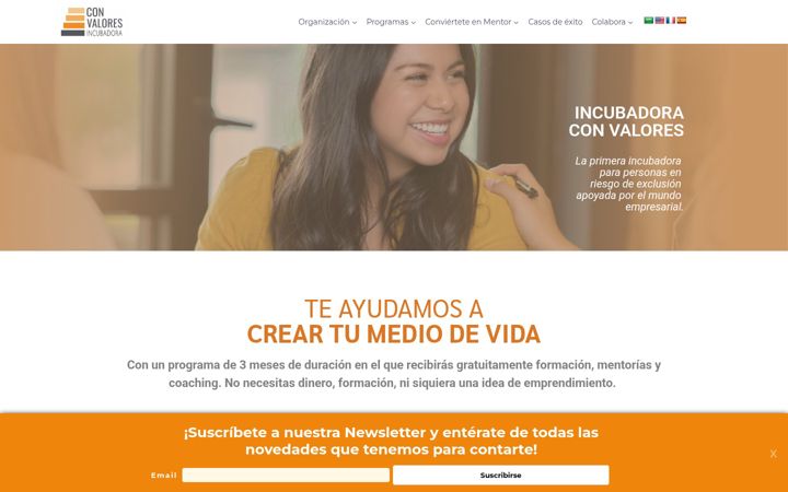 Screenshot von cvalores.org