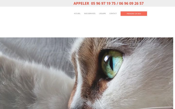 Screenshot of cvbrindamour.com