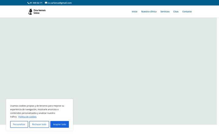 Screenshot of cvcarlanca.es