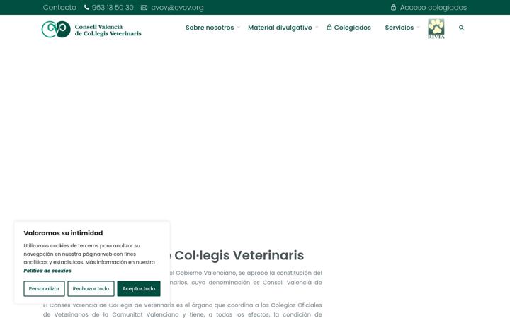 Screenshot von cvcv.org