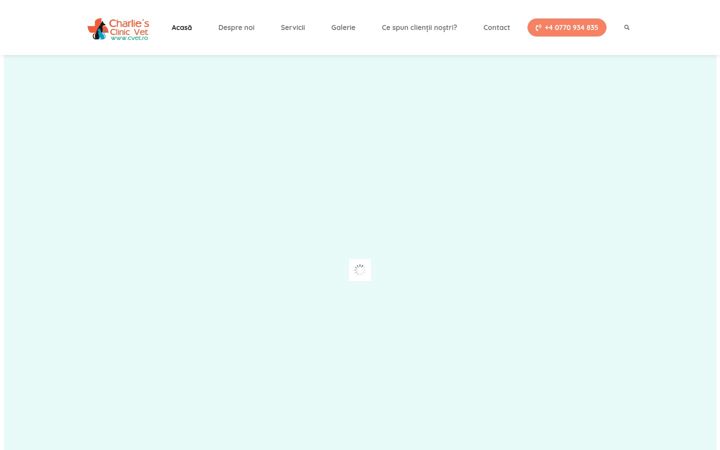 Screenshot of cvet.ro