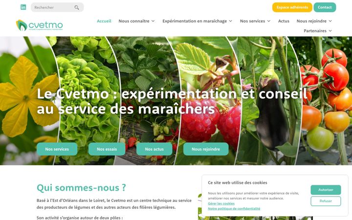 Screenshot of cvetmo.fr