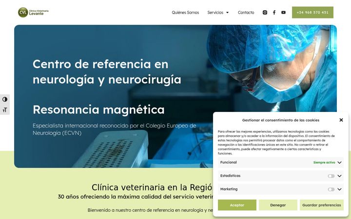 Screenshot of cvlevante.es