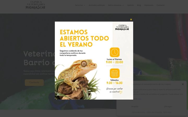 Screenshot of cvmadagascar.com