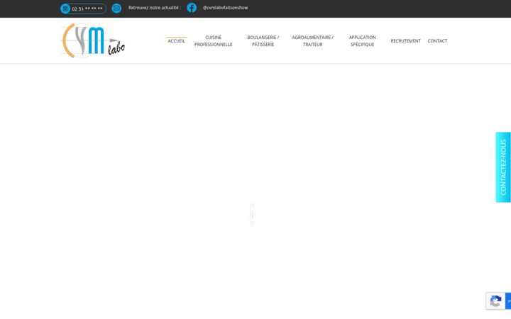 Screenshot of cvmlabo.fr