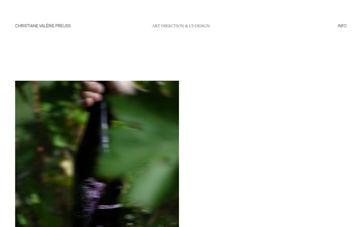Screenshot of cvpreuss.com