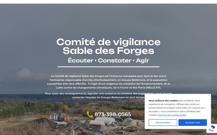 Screenshot of cvsdf.info