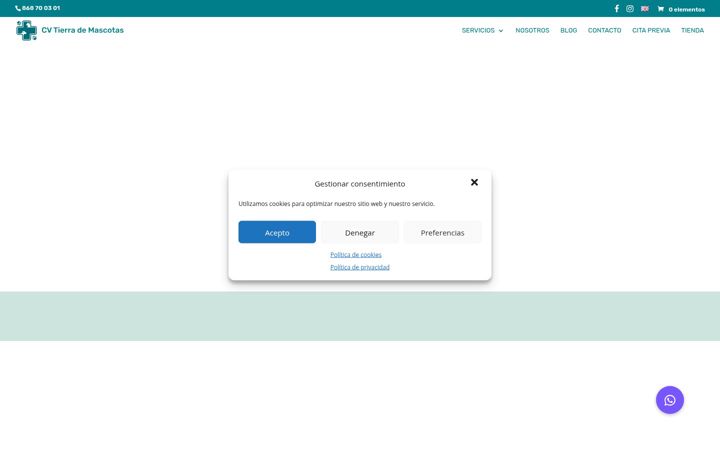 Screenshot of cvtierrademascotas.com