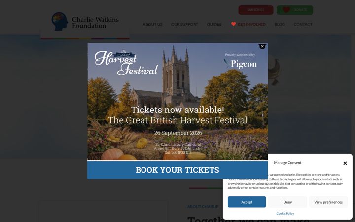 Screenshot of cwfoundation.co.uk
