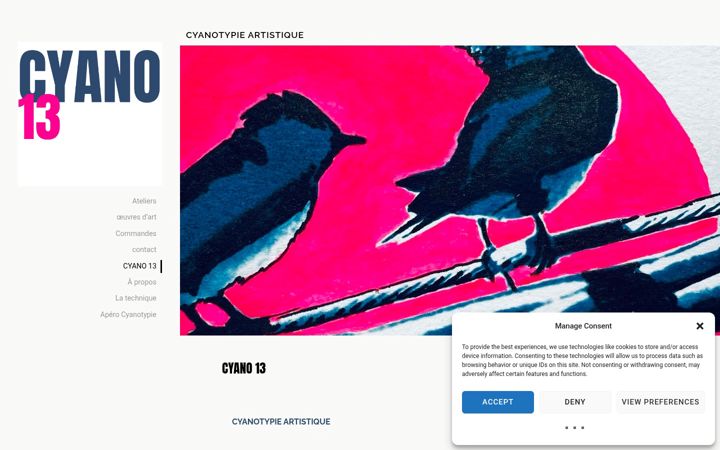 Screenshot of cyano13.fr