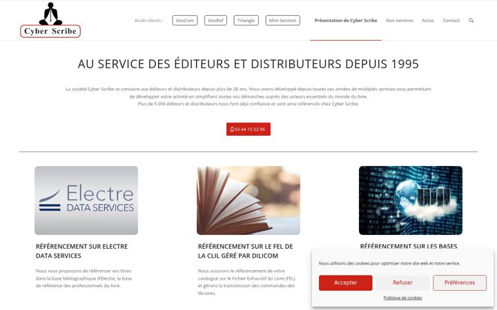 Screenshot of cyber-scribe.fr