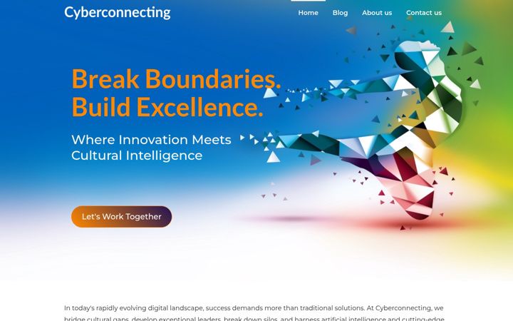 Ekrano kopija cyberconnecting.net