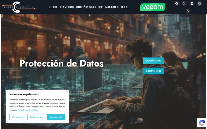Captură de ecran a cyberconsulting.es
