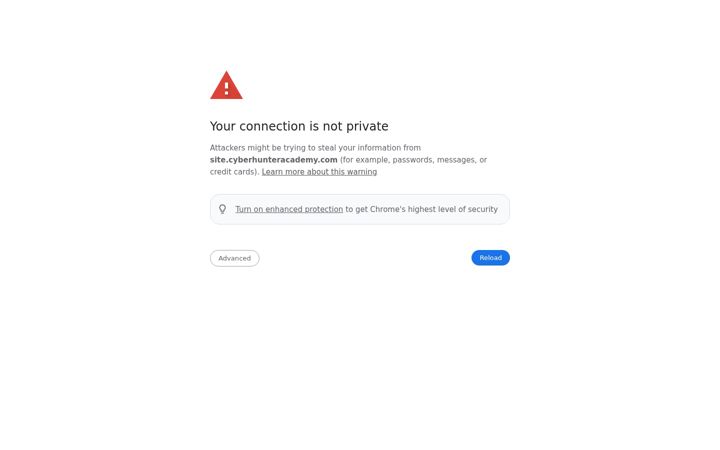 Screenshot of cyberhunteracademy.com