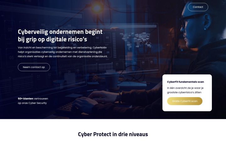 Screenshot of cybernativ.com
